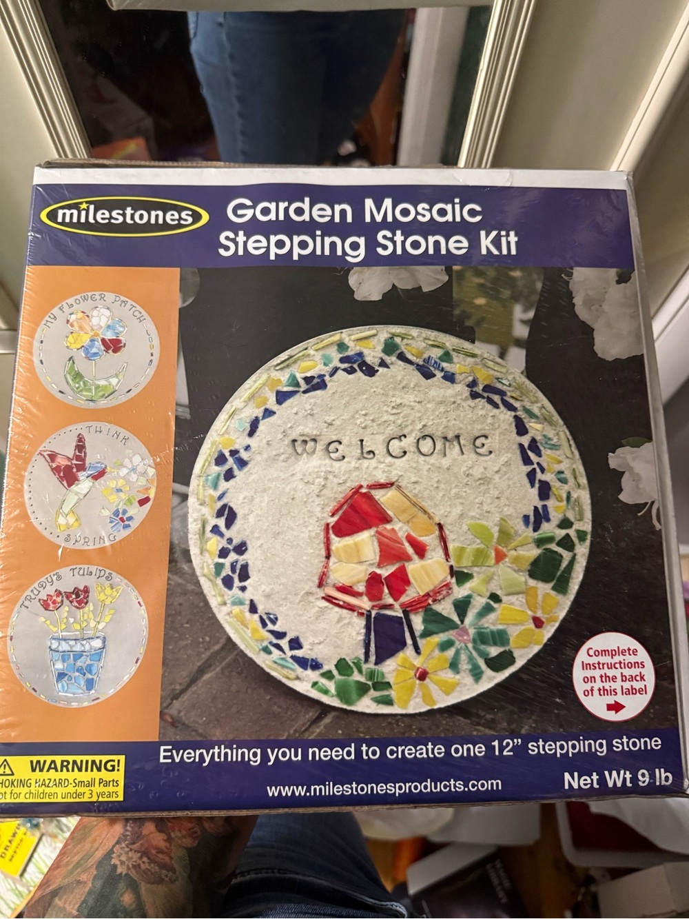 Milestones Garden Mosaic Stepping Stone Kit - Multicolor